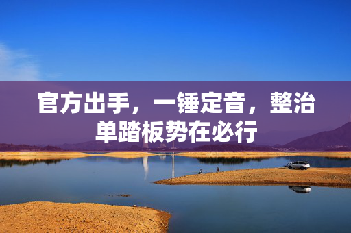 官方出手，一锤定音，整治单踏板势在必行