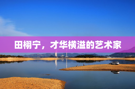 田栩宁，才华横溢的艺术家