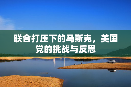 联合打压下的马斯克，美国党的挑战与反思