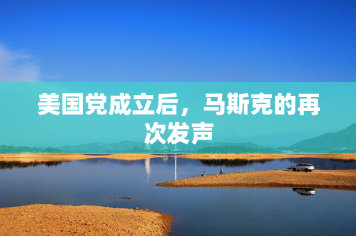 美国党成立后，马斯克的再次发声
