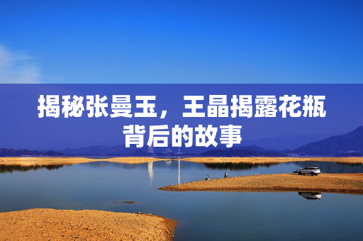 揭秘张曼玉，王晶揭露花瓶背后的故事