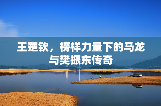 王楚钦，榜样力量下的马龙与樊振东传奇