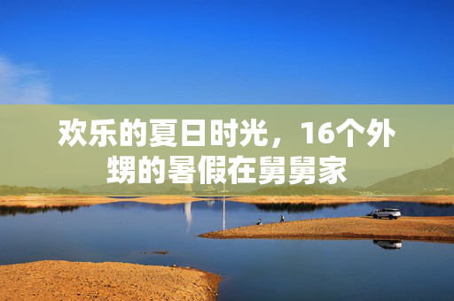 欢乐的夏日时光，16个外甥的暑假在舅舅家
