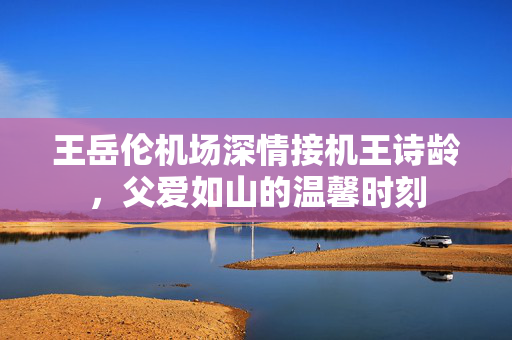 王岳伦机场深情接机王诗龄，父爱如山的温馨时刻