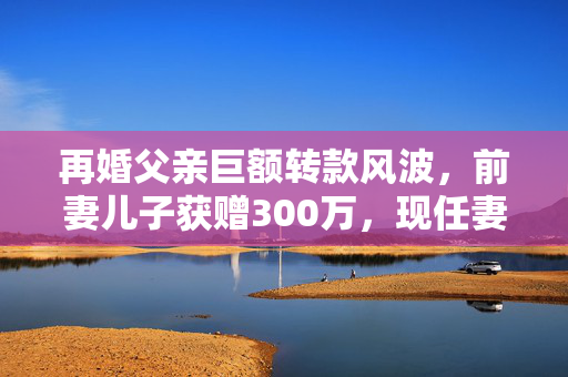 再婚父亲巨额转款风波，前妻儿子获赠300万，现任妻子愤怒起诉