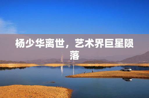 杨少华离世，艺术界巨星陨落
