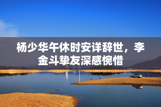 杨少华午休时安详辞世，李金斗挚友深感惋惜