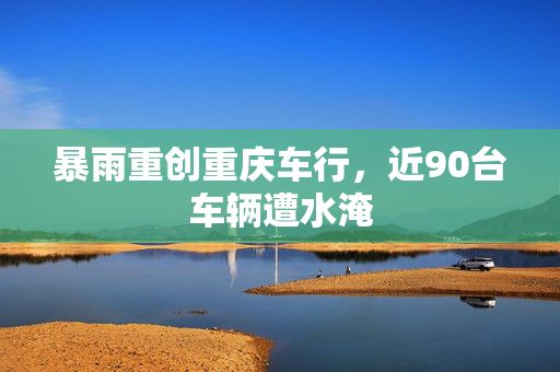 暴雨重创重庆车行，近90台车辆遭水淹