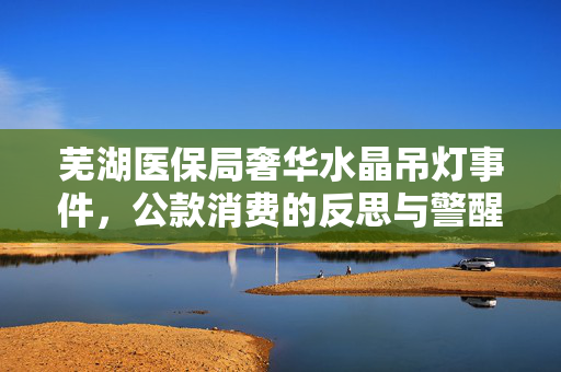 芜湖医保局奢华水晶吊灯事件，公款消费的反思与警醒