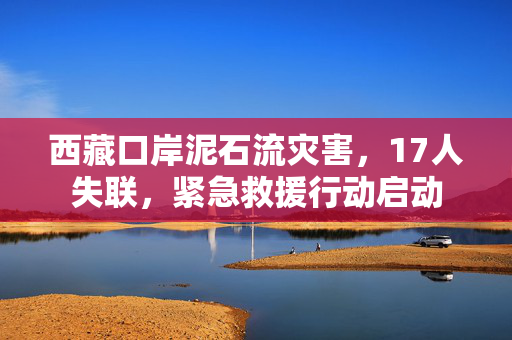 西藏口岸泥石流灾害，17人失联，紧急救援行动启动