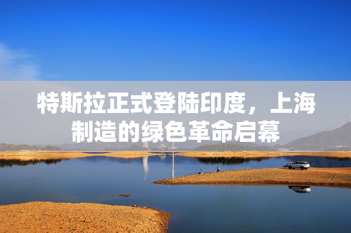 特斯拉正式登陆印度，上海制造的绿色革命启幕