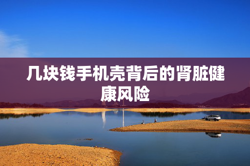 几块钱手机壳背后的肾脏健康风险