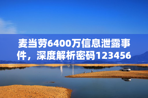 麦当劳6400万信息泄露事件，深度解析密码123456的危害