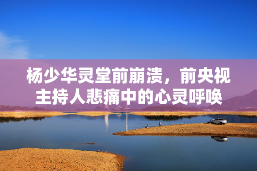杨少华灵堂前崩溃，前央视主持人悲痛中的心灵呼唤