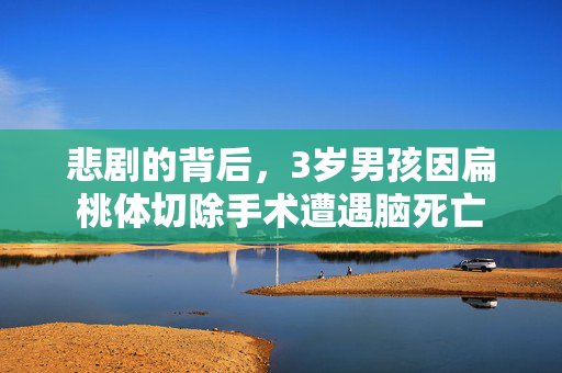 悲剧的背后，3岁男孩因扁桃体切除手术遭遇脑死亡