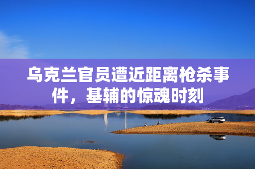 乌克兰官员遭近距离枪杀事件，基辅的惊魂时刻