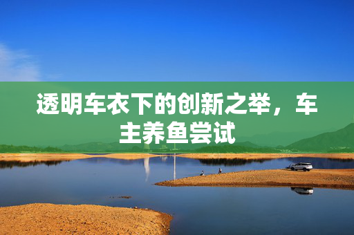 透明车衣下的创新之举，车主养鱼尝试