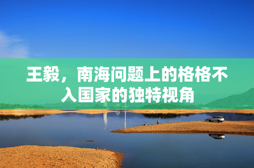 王毅，南海问题上的格格不入国家的独特视角