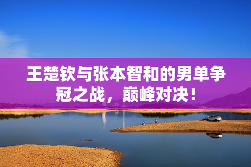 王楚钦与张本智和的男单争冠之战，巅峰对决！