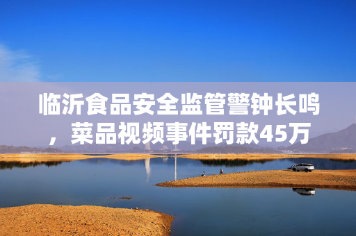 临沂食品安全监管警钟长鸣，菜品视频事件罚款45万