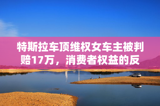特斯拉车顶维权女车主被判赔17万，消费者权益的反思与探讨