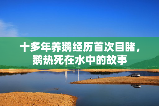 十多年养鹅经历首次目睹，鹅热死在水中的故事