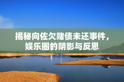 揭秘向佐欠赌债未还事件，娱乐圈的阴影与反思