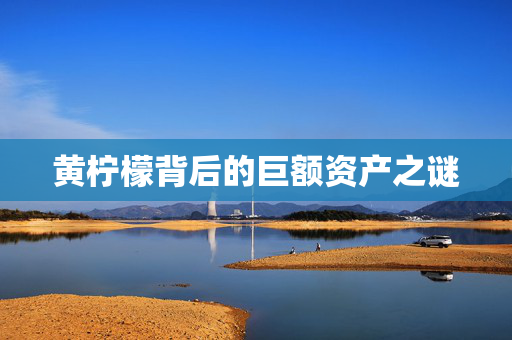 黄柠檬背后的巨额资产之谜