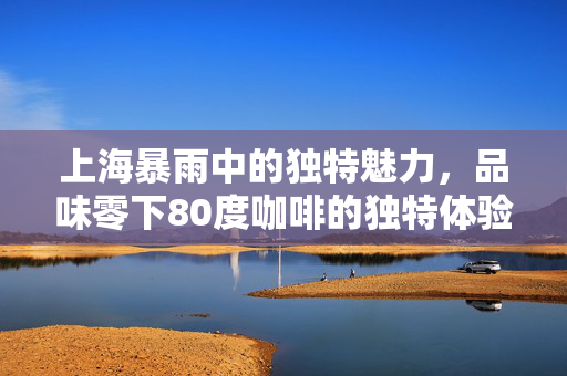 上海暴雨中的独特魅力，品味零下80度咖啡的独特体验