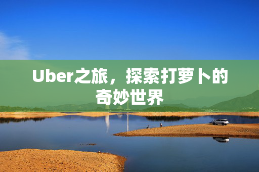 Uber之旅，探索打萝卜的奇妙世界