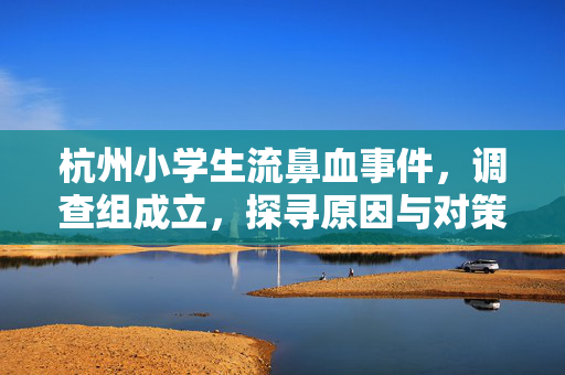 杭州小学生流鼻血事件，调查组成立，探寻原因与对策