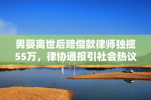 男婴离世后赔偿款律师独揽55万，律协通报引社会热议