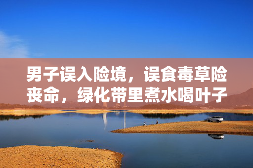 男子误入险境，误食毒草险丧命，绿化带里煮水喝叶子惊魂记