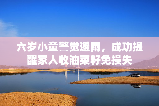 六岁小童警觉避雨，成功提醒家人收油菜籽免损失