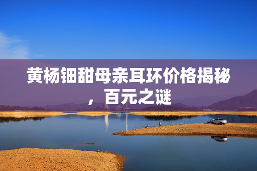 黄杨钿甜母亲耳环价格揭秘，百元之谜
