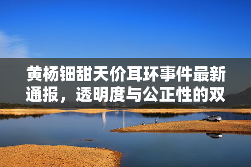 黄杨钿甜天价耳环事件最新通报，透明度与公正性的双重审视