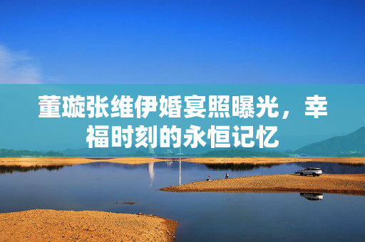董璇张维伊婚宴照曝光，幸福时刻的永恒记忆
