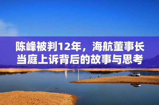 陈峰被判12年，海航董事长当庭上诉背后的故事与思考