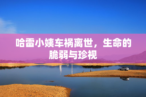 哈雷小姨车祸离世，生命的脆弱与珍视