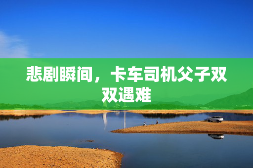 悲剧瞬间，卡车司机父子双双遇难