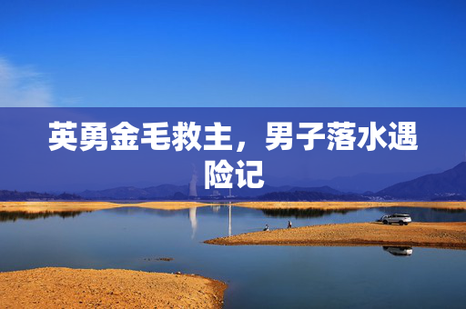 英勇金毛救主，男子落水遇险记