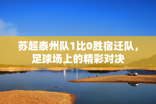 苏超泰州队1比0胜宿迁队，足球场上的精彩对决