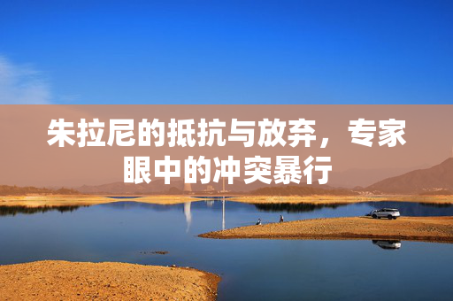 朱拉尼的抵抗与放弃，专家眼中的冲突暴行