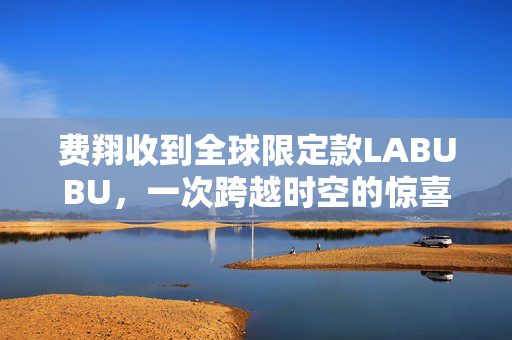 费翔收到全球限定款LABUBU，一次跨越时空的惊喜之旅