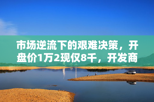 市场逆流下的艰难决策，开盘价1万2现仅8千，开发商的生死抉择时刻