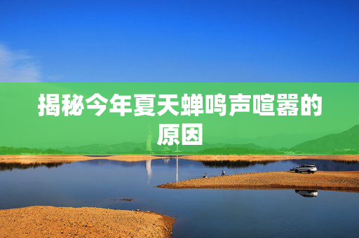揭秘今年夏天蝉鸣声喧嚣的原因
