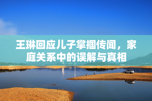 王琳回应儿子掌掴传闻，家庭关系中的误解与真相