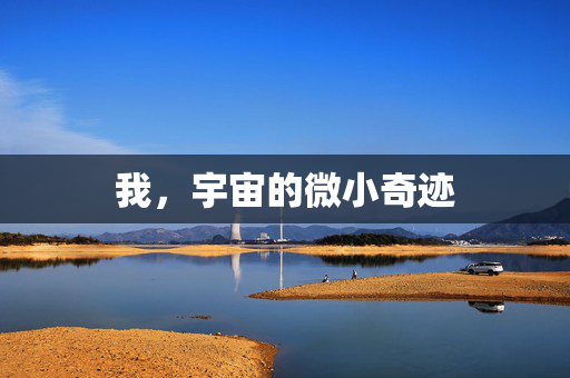 我，宇宙的微小奇迹