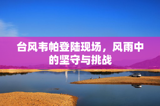 台风韦帕登陆现场，风雨中的坚守与挑战