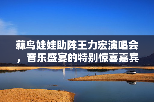 蒜鸟娃娃助阵王力宏演唱会，音乐盛宴的特别惊喜嘉宾